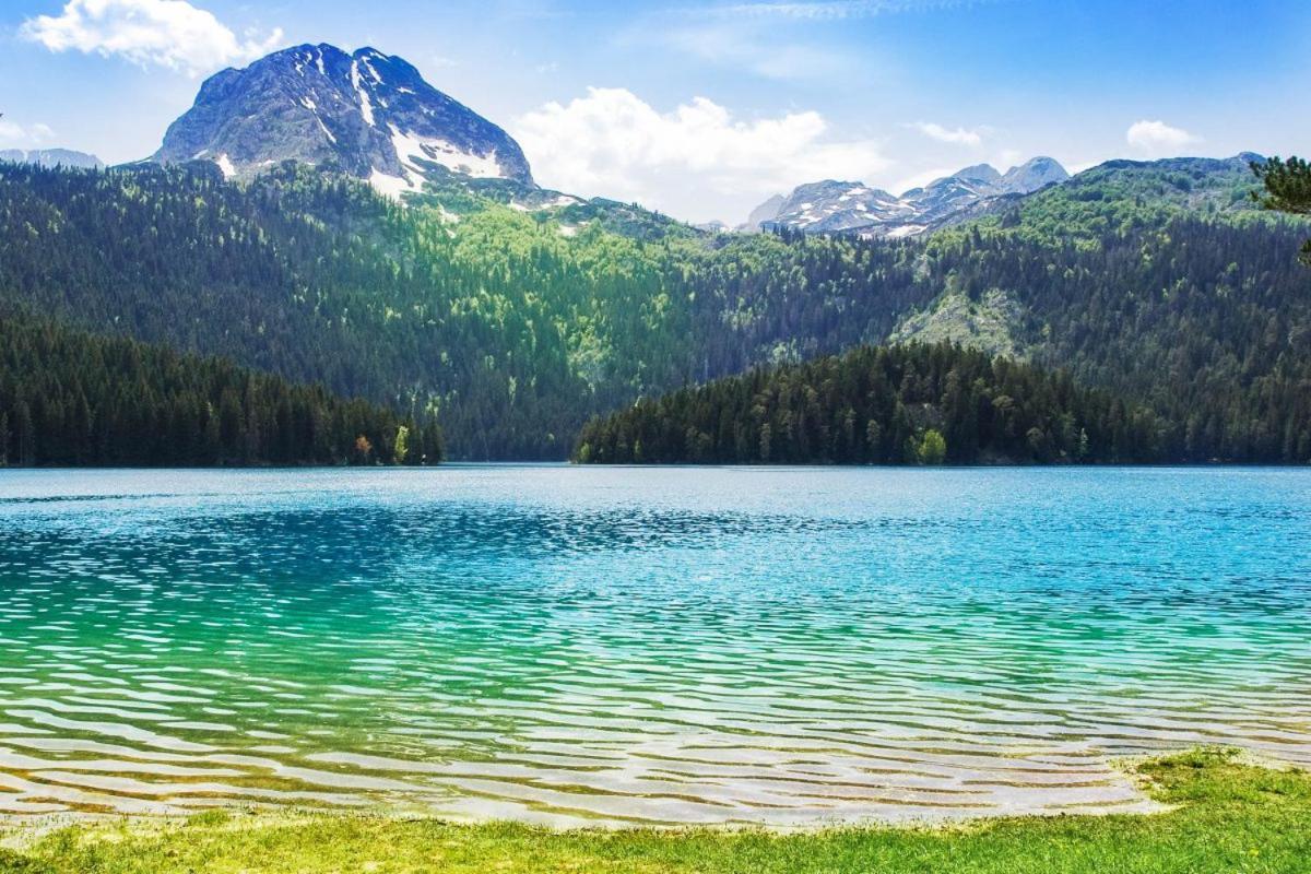 ŽabljakVikendice Smolovic别墅 外观 照片