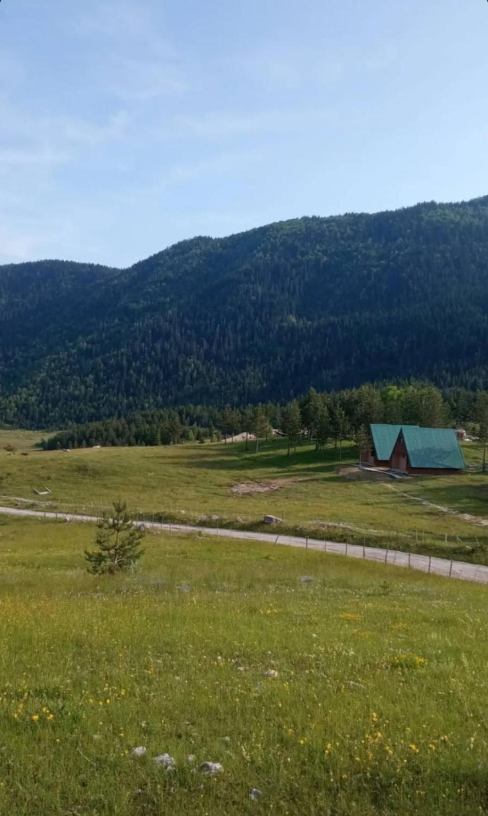 ŽabljakVikendice Smolovic别墅 外观 照片