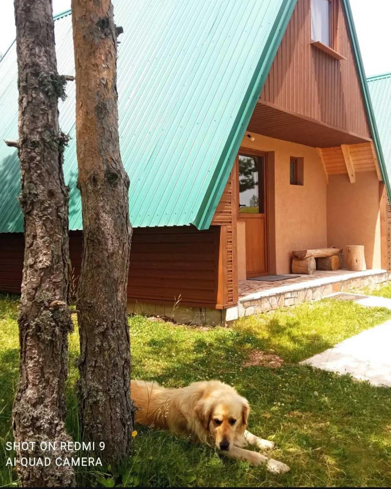 ŽabljakVikendice Smolovic别墅 外观 照片